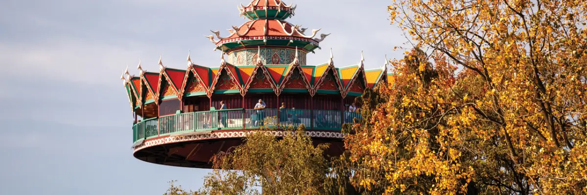 MagicBreaks other faq carousel banner