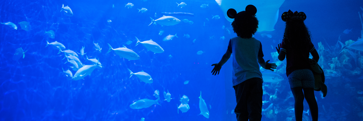 MagicBreaks World Nature carousel banner