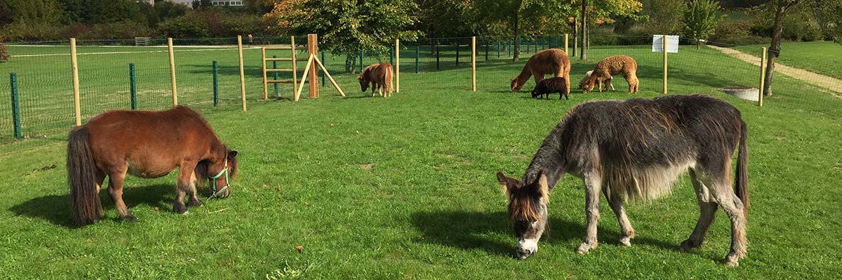 MagicBreaks Hotel Location carousel banner