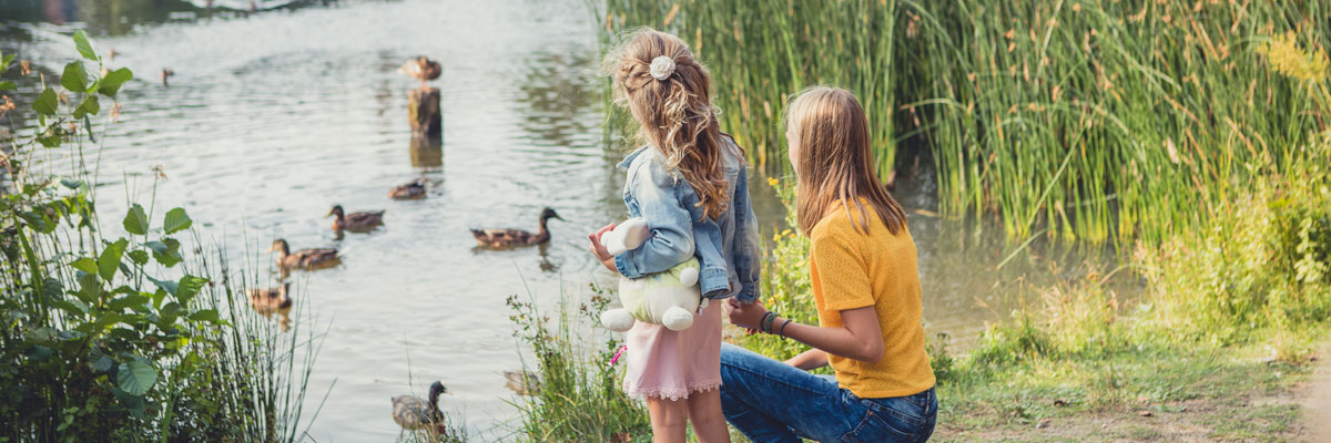 MagicBreaks overview carousel banner