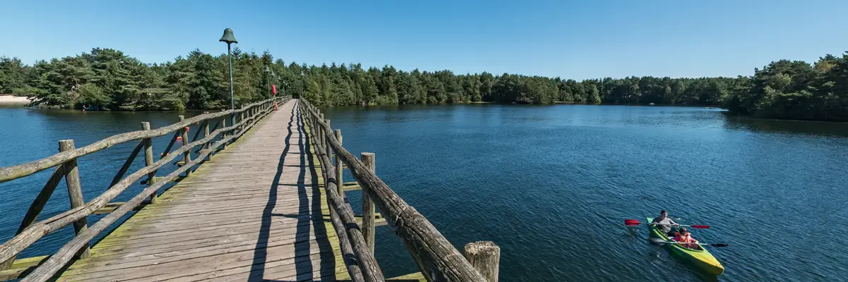 MagicBreaks General carousel banner