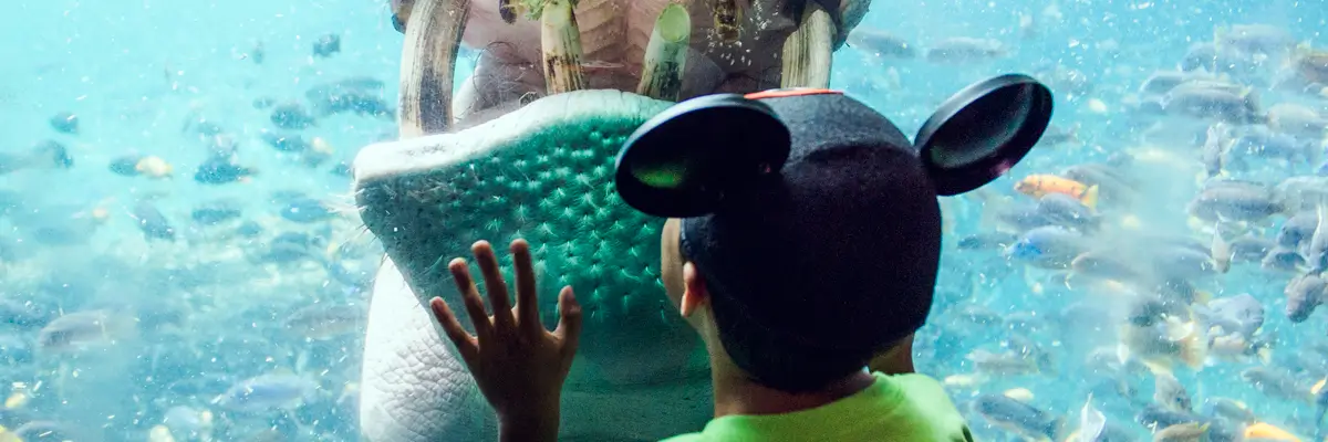 MagicBreaks Africa carousel banner