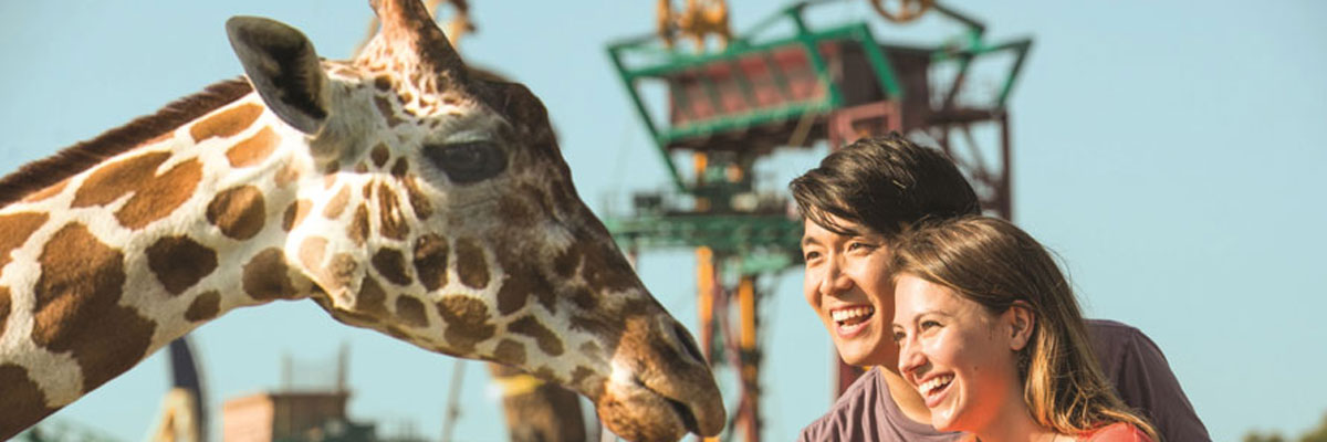 MagicBreaks main banner image carousel banner