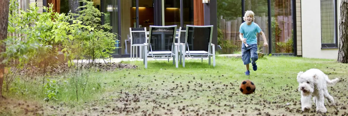 MagicBreaks Pet-friendly Holiday Deals! carousel banner