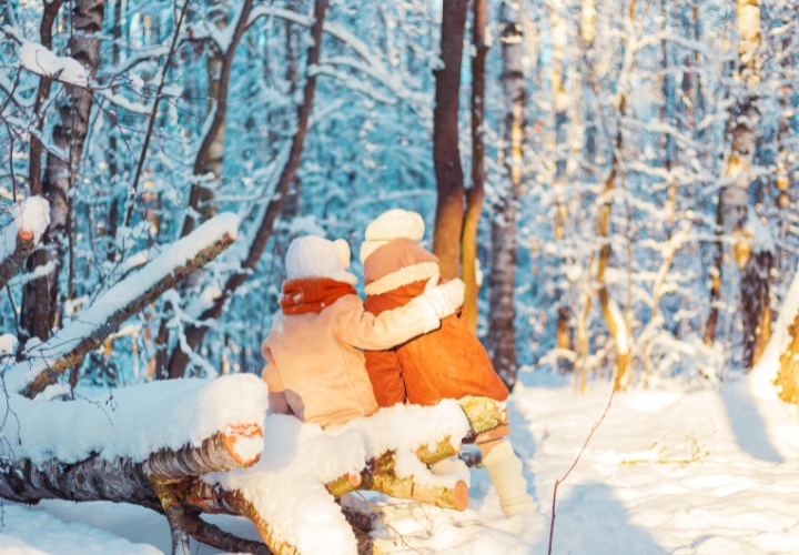 MagicBreaks Experience the Magic of Lapland from £599! carousel banner