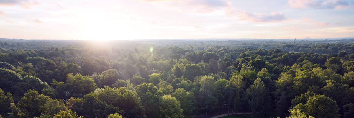 MagicBreaks Location carousel banner